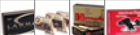 Ultramax Remanufactured Ammunition 10 mm 180 Grain Full Metal Jacket Box of 50