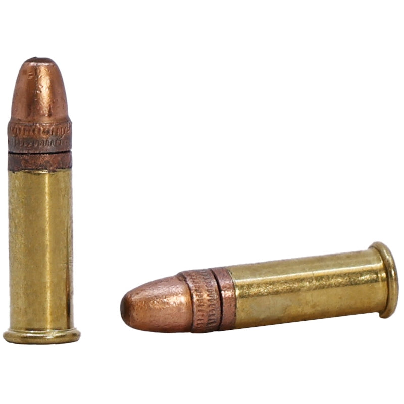 Aguila 22 Long Rifle Ammo 38 Grain Copper Plated Hollow Point - 1B220335