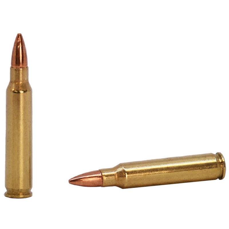 Hornady Frontier 223 Ammo 55 Grain Full Metal Jacket Boat Tail - FR1005