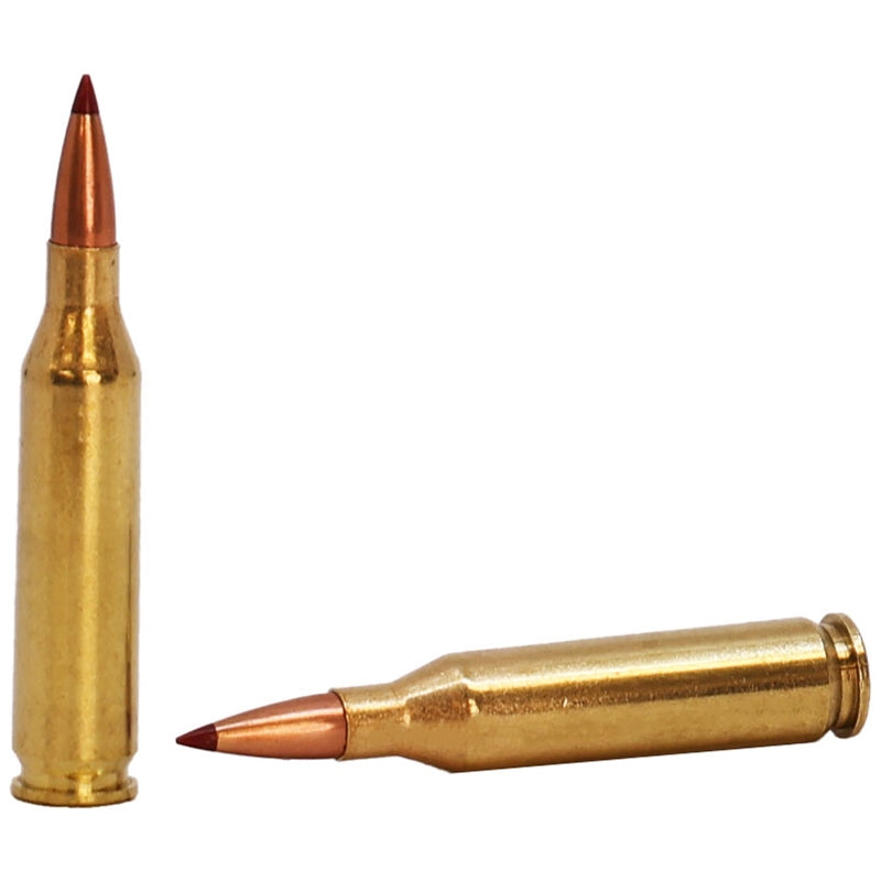 Hornady Precision Hunter 243 Winchester Ammo 90 Grain Extremely Low Drag-Expanding - 80462