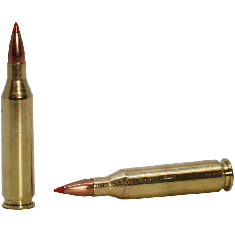 Hornady Superformance Varmint 243 Winchester Ammo 75 Grain V-MAX - 83433