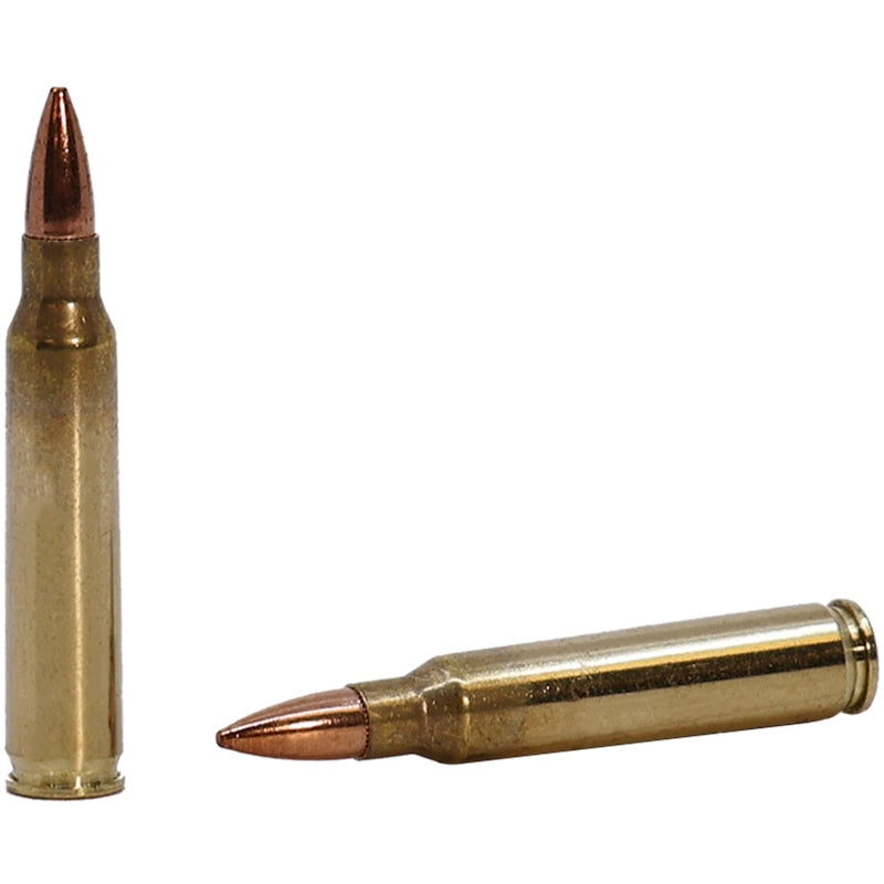 Fiocchi Range Dynamics 5.56x45mm Ammo 55 Grain Full Metal Jacket Boat Tail - 556M193L