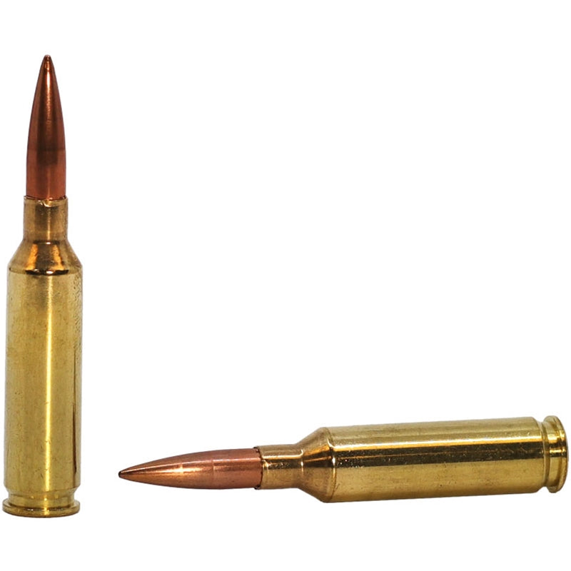 Sig Sauer Elite Match Grade 6mm Creedmoor Ammo 107 Grain Open Tip Match - E6MMCM2-20