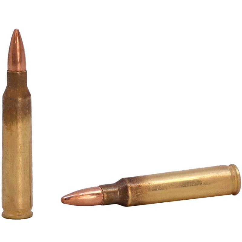 Winchester USA Anniversary Edition 5.56mm NATO M193 Ammo 55 Grain Full Metal Jacket 125 Rounds Value Pack - USA193125
