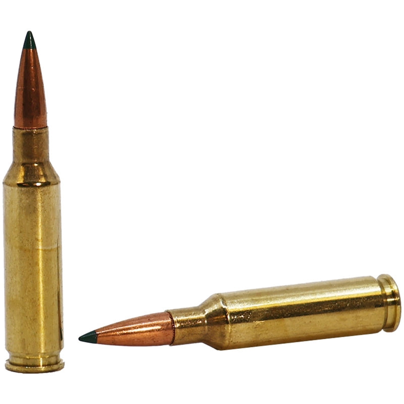 Remington 6.5 Creedmoor Ammo 129 Grain Core-Lokt Tipped - RT65CR1