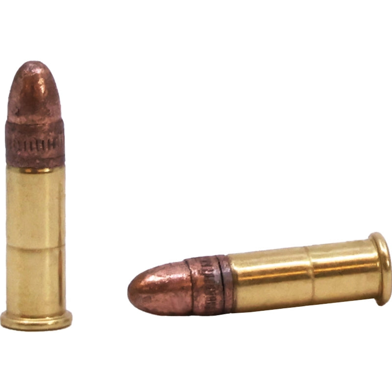 Remington Ranch Hand 22 Long Rifle Ammo 40 Grain Plated Lead Round Nose - R21263