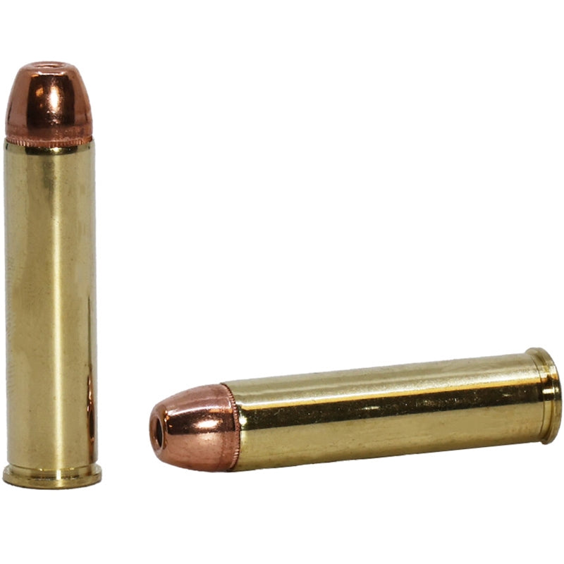 Hornady Backcountry Defense 460 S&W Mag Ammo 300 Grain Dangerous Game Handgun DGH - 91558
