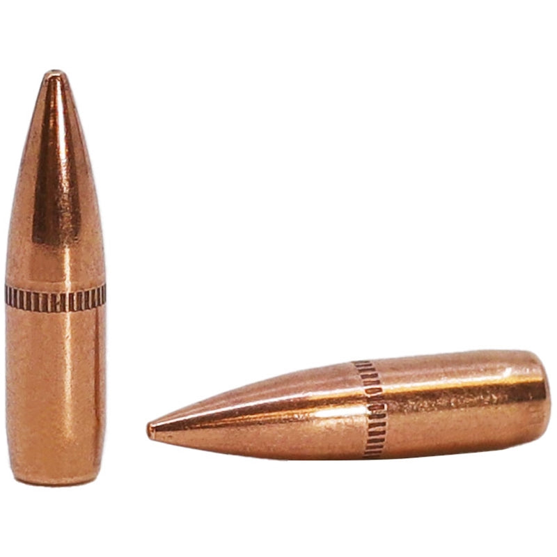 Prvi Partizan Bullets 5.56 NATO (.224 Diameter) 62 Grain SS109 Full Metal Jacket Boat Tail - B110