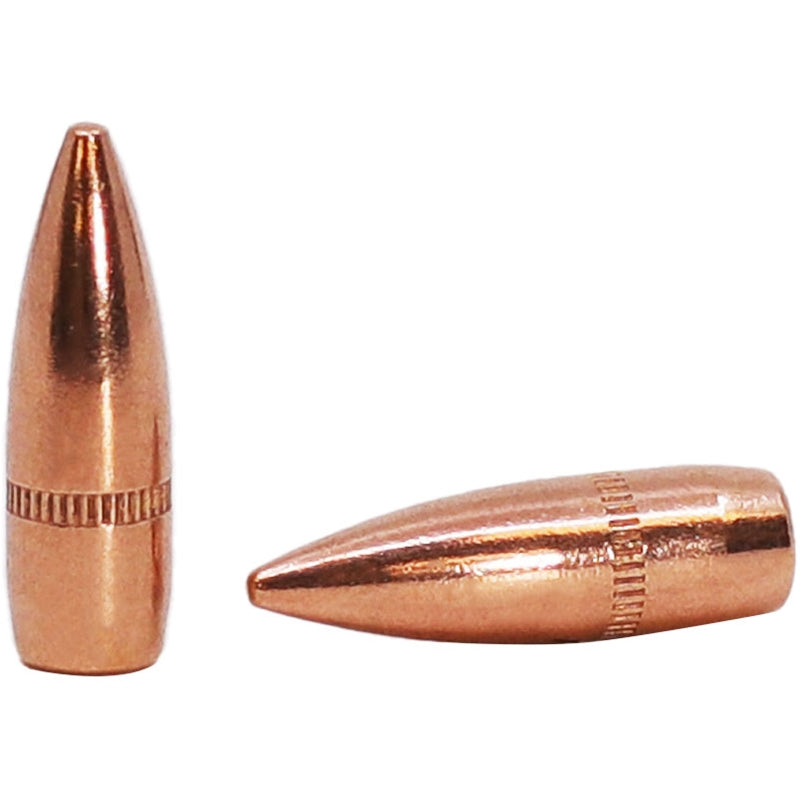 Prvi Partizan Bullets 5.56mm NATO (.224 Diameter) 55 Grain M193 Full Metal Jacket Boat Tail - B008