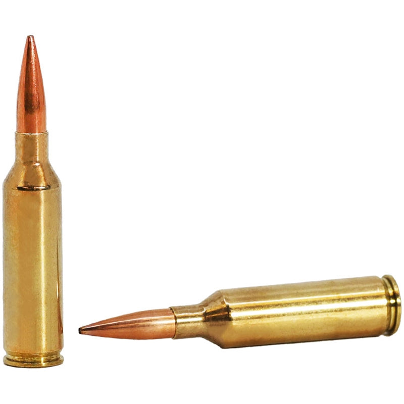 Norma Golden Target Match 6.5 PRC Ammo 143 Grain Boat Tail Hollow Point - 10166462