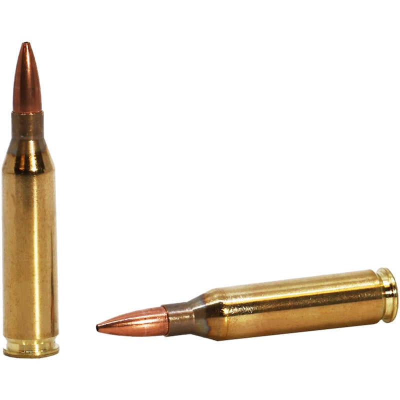 Barnes 243 Winchester Ammo 100 Grain Jacketed Hollow Point Boat Tail - 32108
