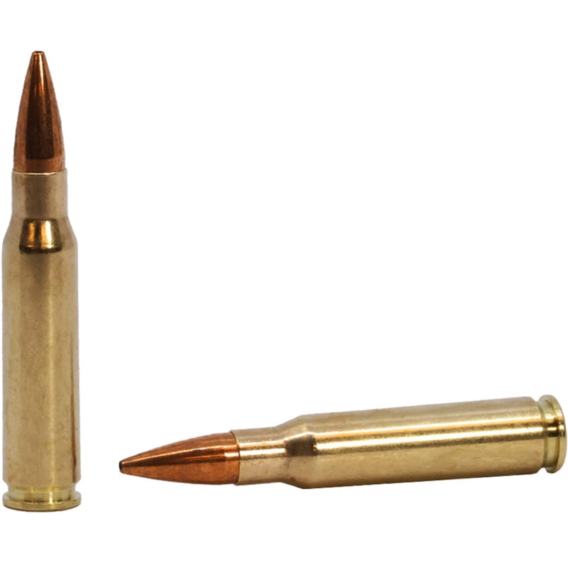 Norma Golden Target Match 308 Winchester Ammo 168 Grain Boat Tail Hollow Point - 10177432