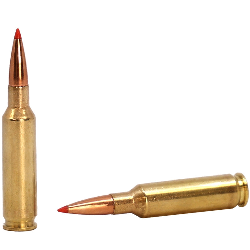 Hornady American Whitetail Tipped 6.5 Creedmoor Ammo 129 Grain SST - 81509