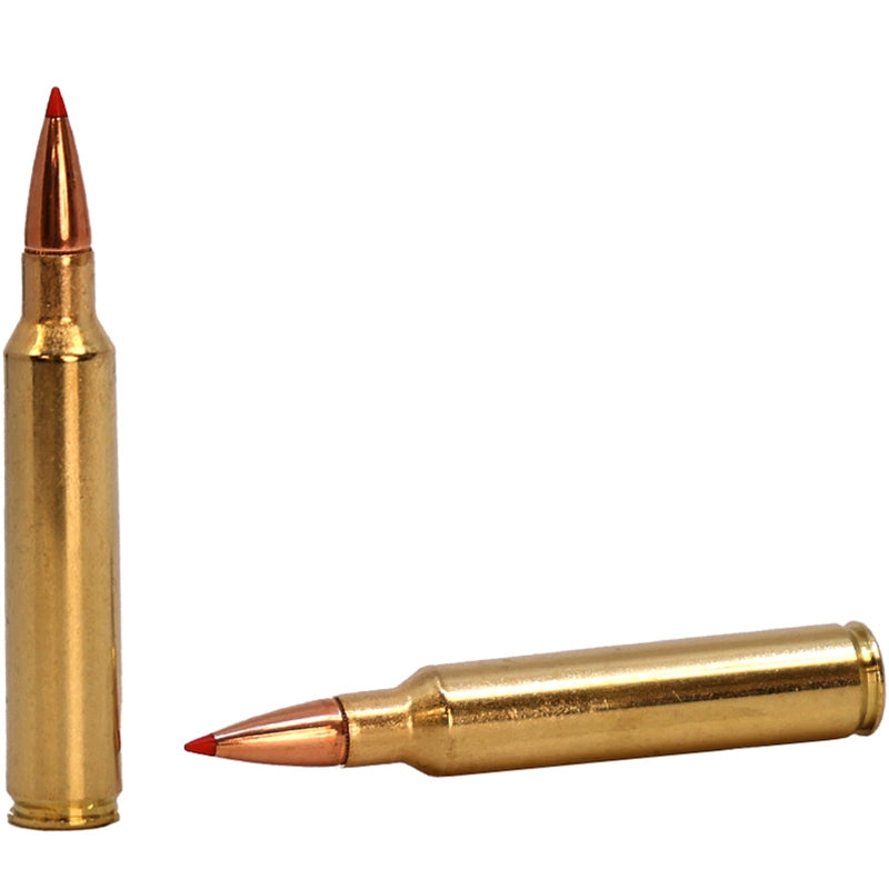 Hornady American Whitetail Tipped 300 PRC Ammo 165 Grain Polymer Tip - 82163