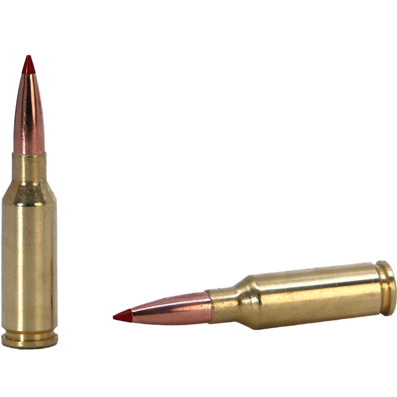 Hornady Custom 6mm ARC Ammo 90 Grain Polymer Tip CX- 81612