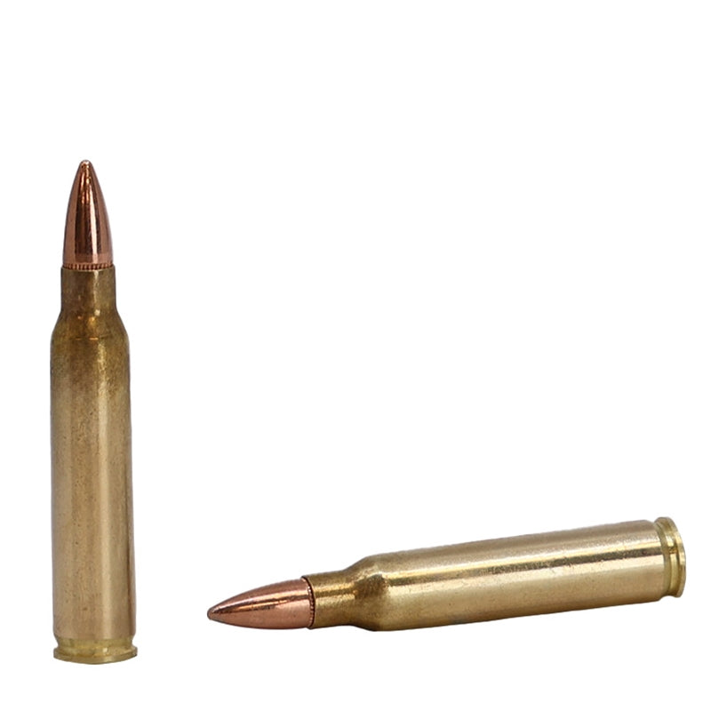 Black Sheep 223 Ammo 62 Grain Full Metal Jacket - 22362GFMJ20