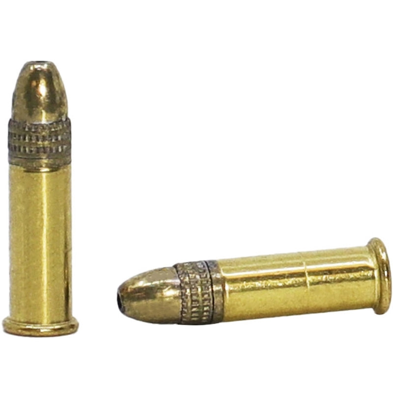 Remington Golden Hunter 22LR Ammo 40 Grain Plated Hollow Point - R21251