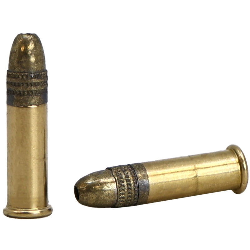 Remington Golden Hunter 22LR Ammo 40 Grain Plated Hollow Point Value Pack - R21253