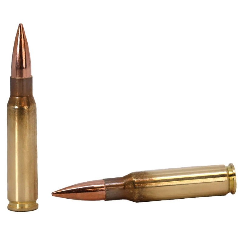Lapua 308 Winchester Ammo 170 Grain Full Metal Jacket - 4317596