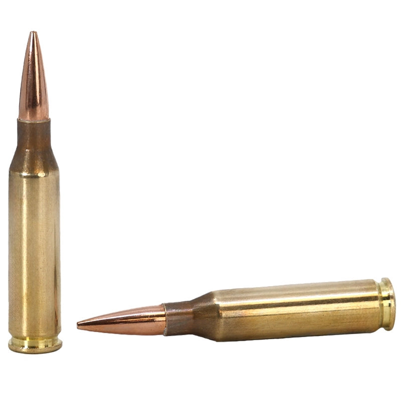 Lapua 260 Remington Ammo 136 Grain Open Tip Match - 4316065