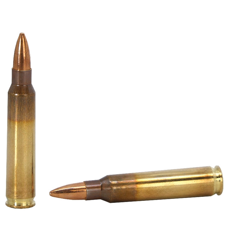 Lapua 223 Ammo 55 Grain Full Metal Jacket - 4315042