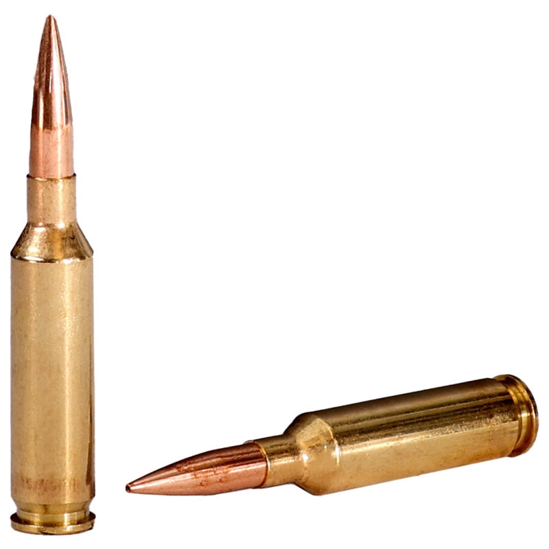 Fiocchi Hyperformance 6mm Creedmoor Ammo 105 Grain Reduced Drag Hollow Point - 6CMRD