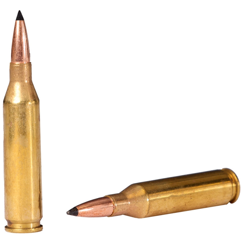 Remington Premier 243 Winchester Ammo 90 Grain Swift Scirocco Bonded Polymer Tip - 29320