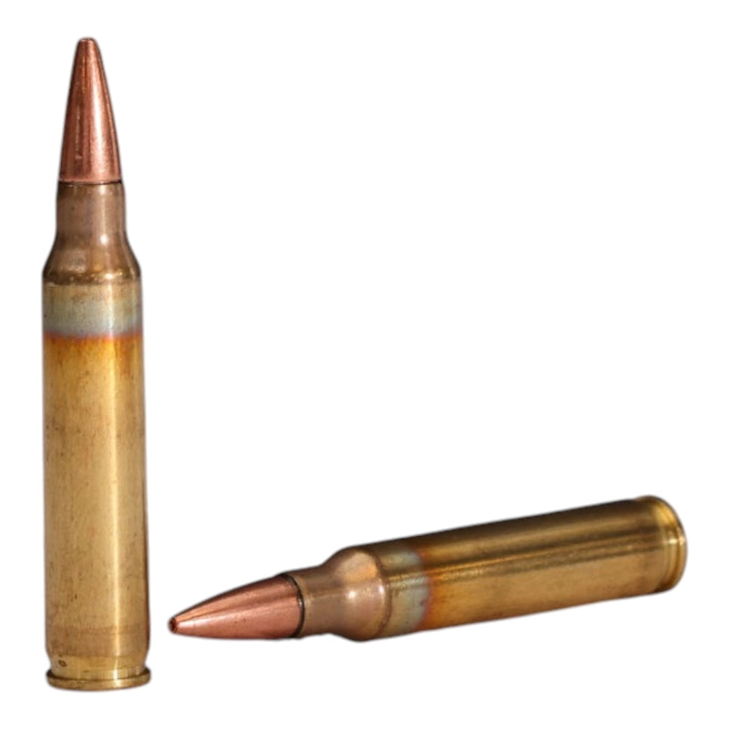 Federal Law Enforcement 5.56x45mm NATO Ammo 70 Grain Barnes TSX - LE556TSX