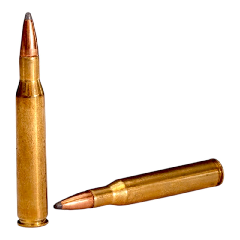 SBR Precision 270 Winchester Ammo 130 Grain Soft Point - SL2702
