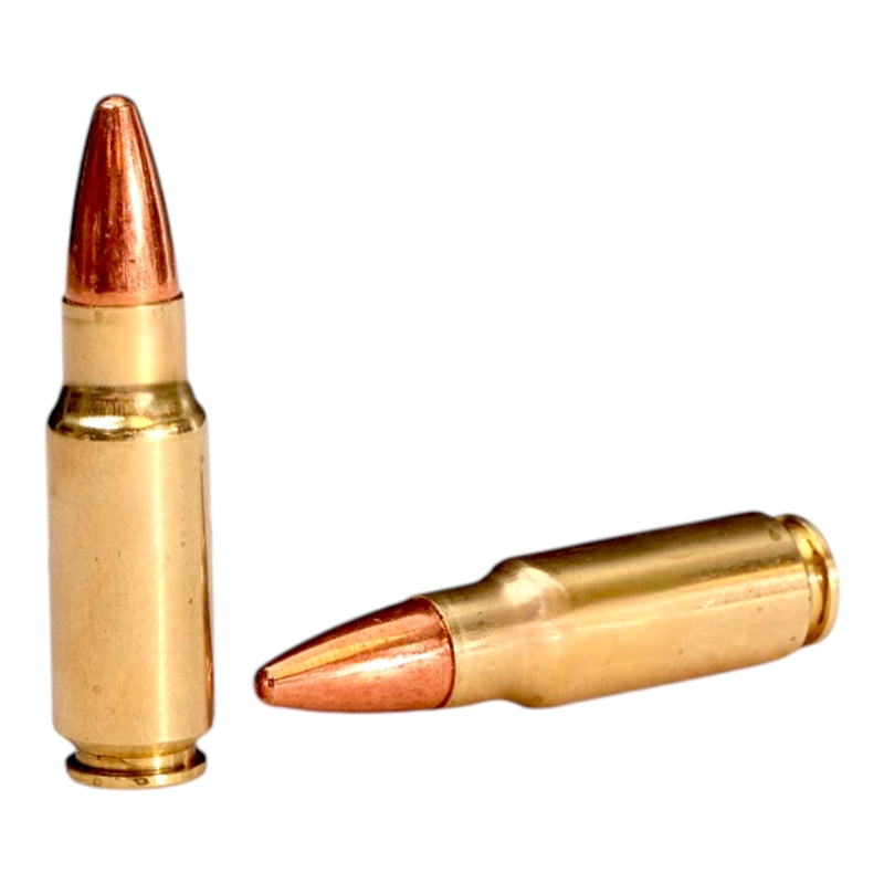 SBR Precision 375 SOCOM Ammo 250 Grain Full Metal Jacket - SL3758