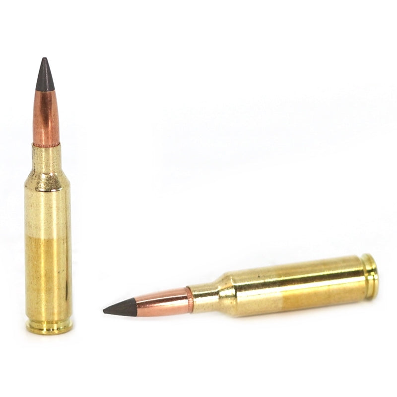 Winchester Deer Season XP 6.5 Creedmoor Ammo 125 Grain Extreme Point Polymer Tip - X65DS