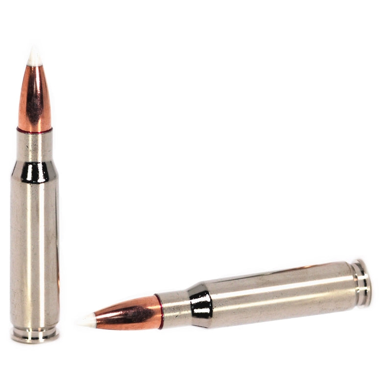 Sig Sauer Platinum Hunter 308 Winchester Ammo 165 Grain Polymer Tip - E308PH165-20