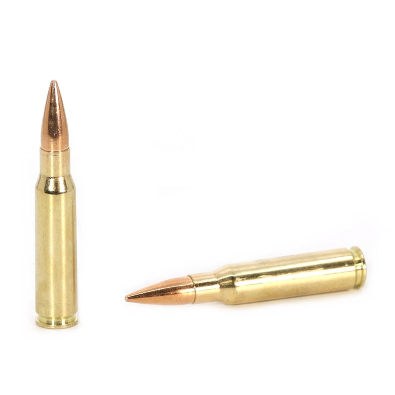 Sellier & Bellot 308 Winchester Ammo 180 Grain Full Metal Jacket - SB308B
