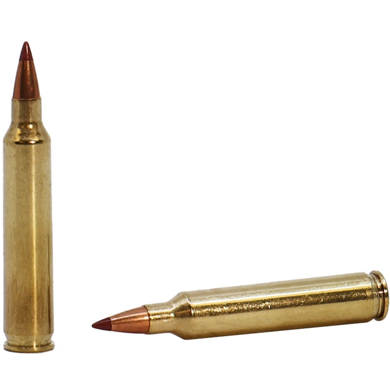 Hornady Superformance 243 Winchester Ammo 95 Grain Super Shock Tip - 80463