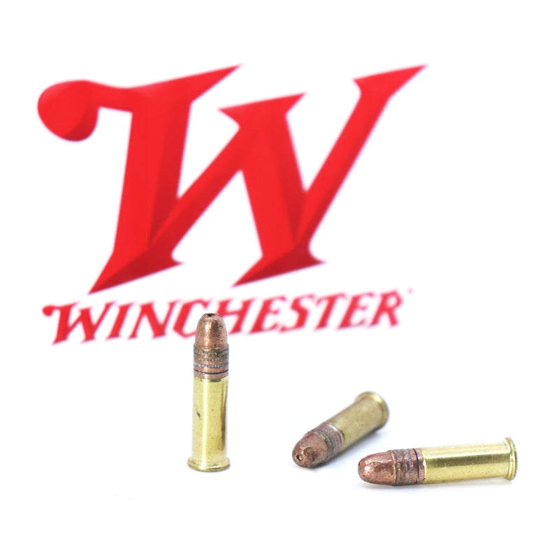 Winchester Wildcat 22 Long Rifle Ammo 40 Grain Copper Plated Dynapoint - WW22LRB