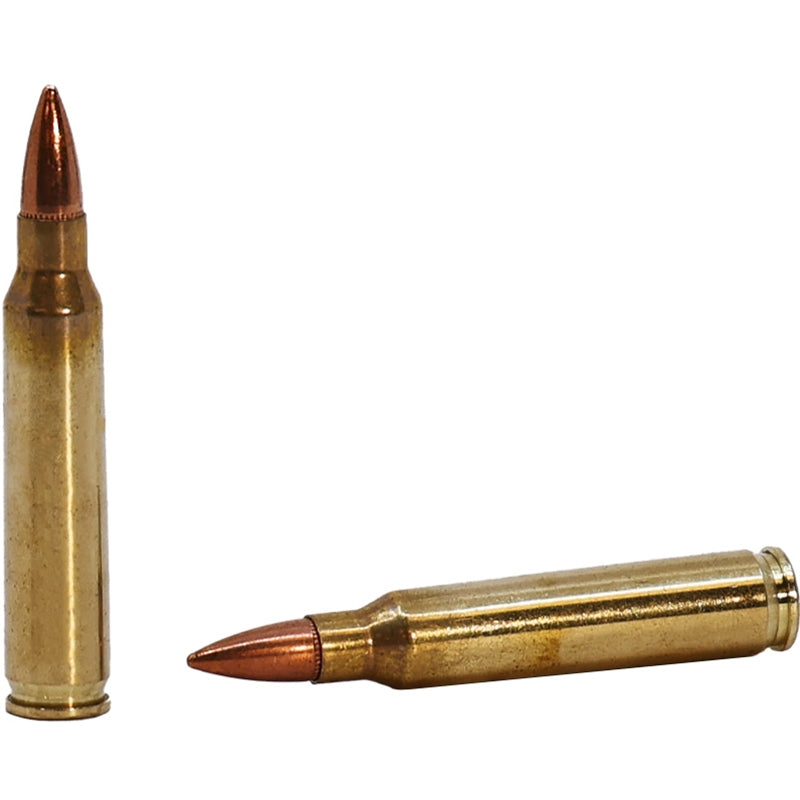 Fiocchi Shooting Dynamics 223 Ammo 55 Grain Full Metal Jacket Boat Tail - 223A
