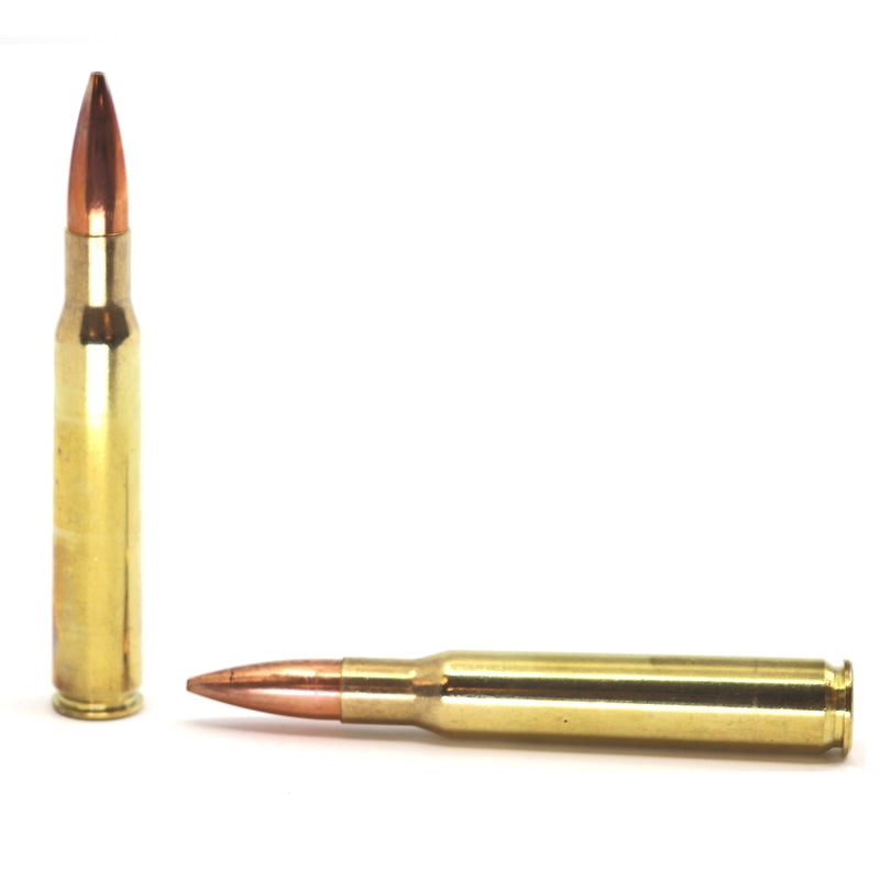 Sig Sauer Elite Performance 30-06 Springfield Ammo 175 Grain Open Tip Match E3006M2-20