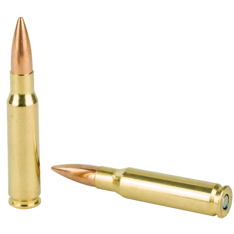 Federal Gold Medal .308 Winchester Ammo 168 Grain Sierra MatchKing Hollow Point - GM308M500