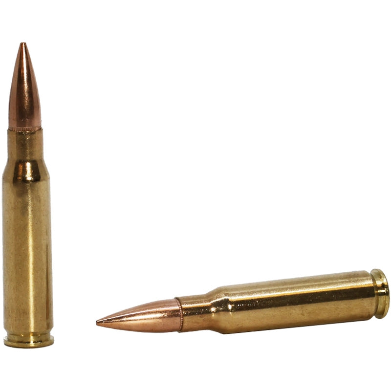 PMC Bronze 308 Winchester Ammo 147 Grain Full Metal Jacket Boat Tail - 308B