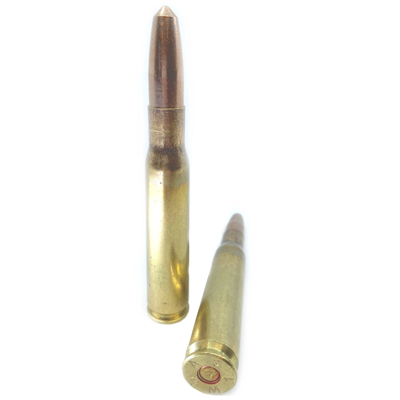 SBR Frangible 50 BMG Ammo 650 Grain Copper Tin