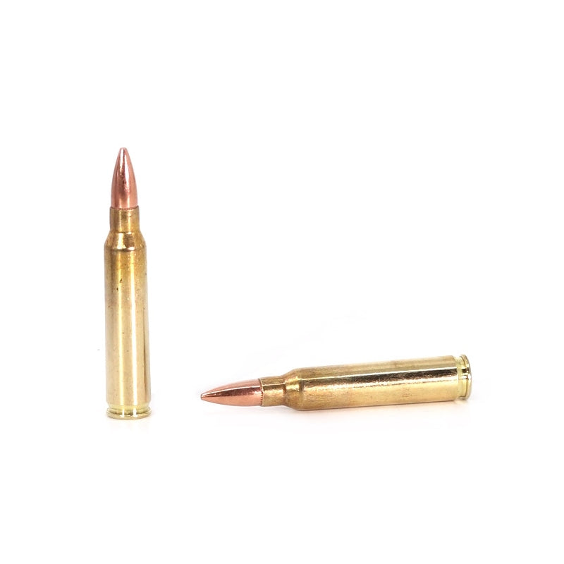 Prvi Partizan Rangemaster 5.56mm NATO Ammo 55 Grain Full Metal Jacket Boat Tail - PPRM5561P
