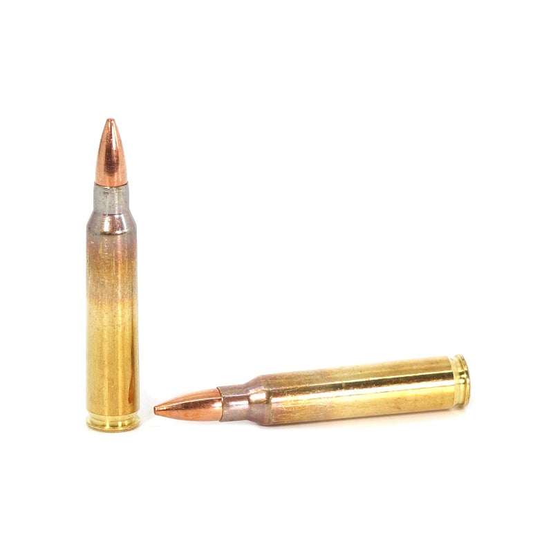 Prvi Partizan 223 Ammo 62 Grain Full Metal Jacket Boat Tail - PP223F2