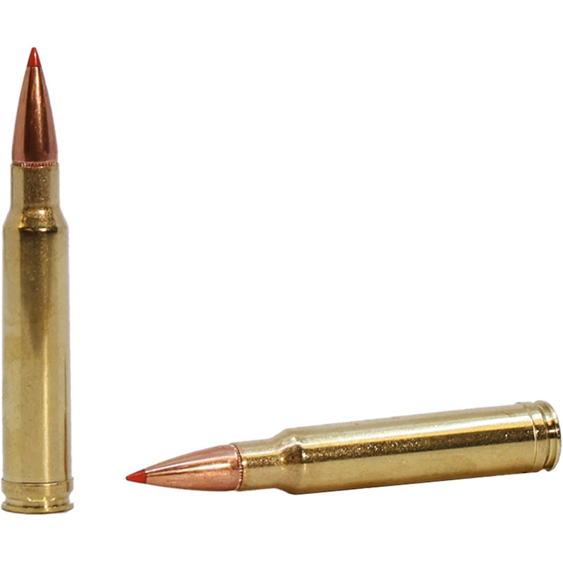 Hornady Superformance 260 Remington Ammo 129 Grain Super Shock Tip - 8552