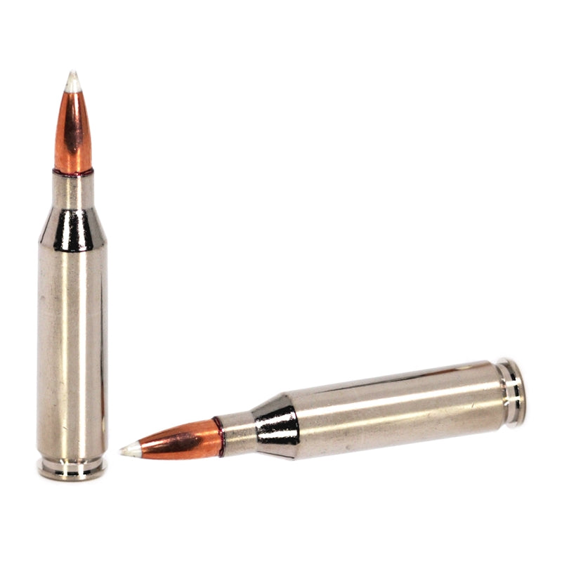 Sig Sauer Platinum Hunter 243 Winchester Ammo 90 Grain Nosler AccuBond Polymer Tip – E243PH90‑20