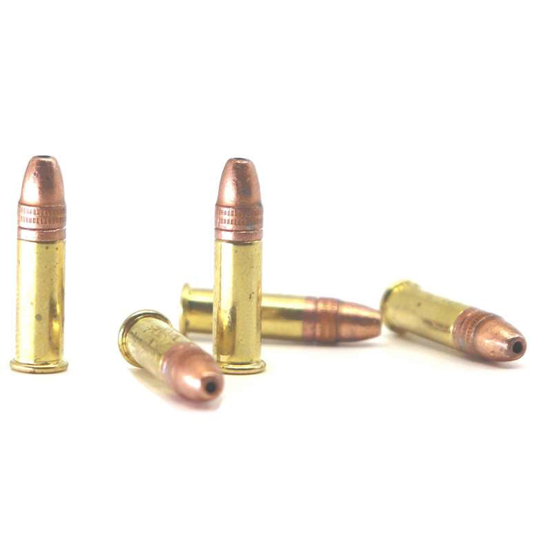 Aguila SuperExtra 22 Long Rifle Ammo 38 Grain Copper Plated Hollow Point - 1B221118