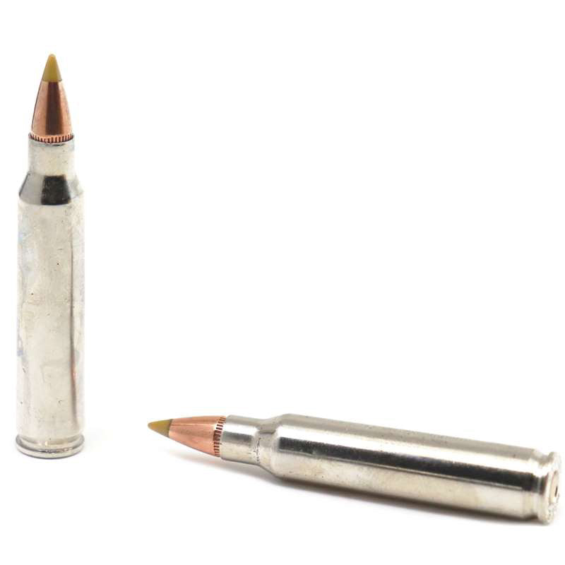 Browning BXV 223 Ammo 50 Grain Varmint Expansion Polymer Tip - B192302231