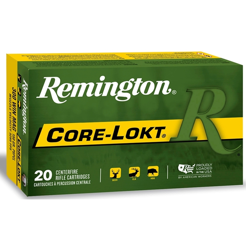 R300W1 Box Of 20 Ammo