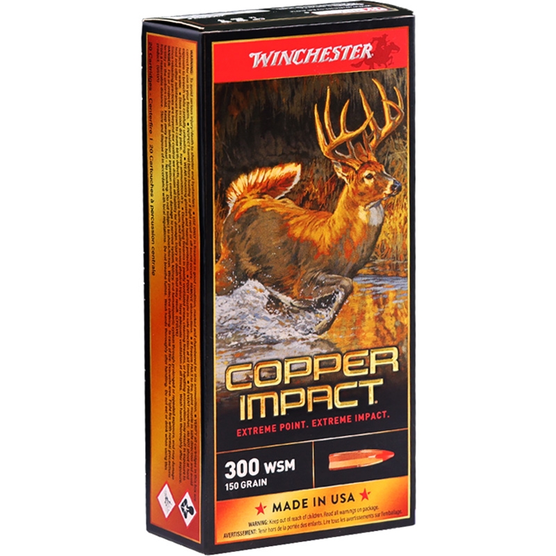 X300SCLF Box Of 20 Ammo