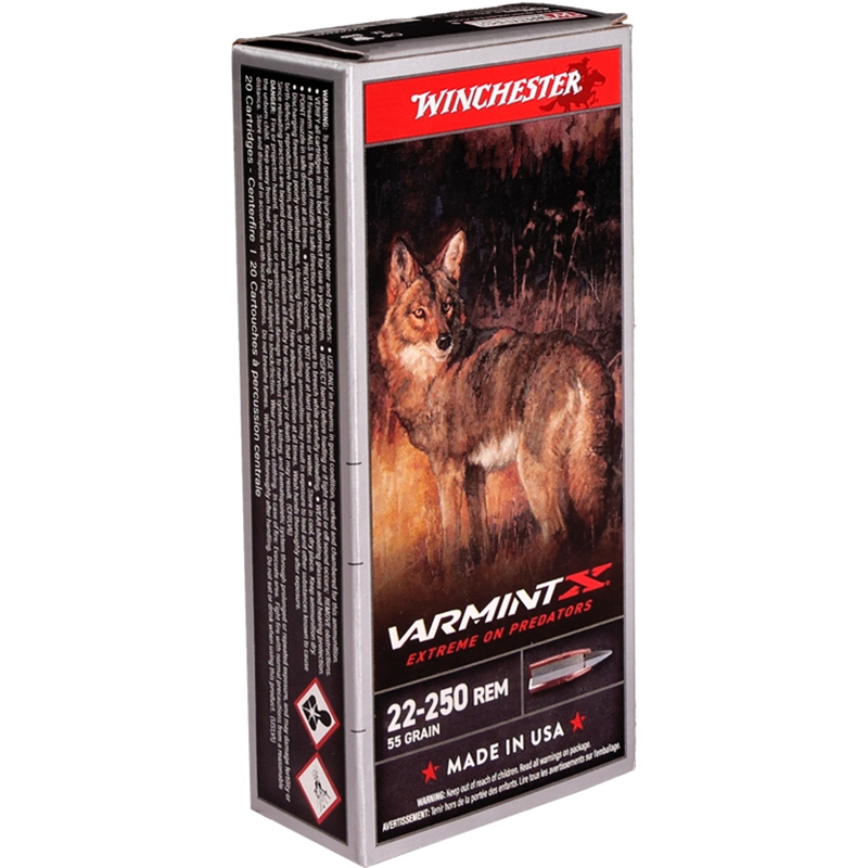 X22250P Box Of 20 Ammo