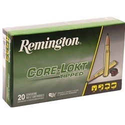 Remington Ammunition